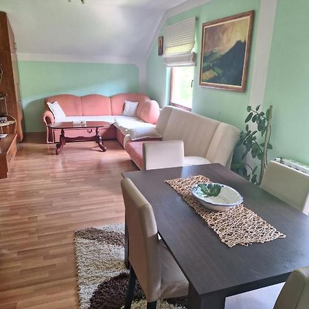 Apartman Sara Pale - Ski Centar Ravna Planina מראה חיצוני תמונה