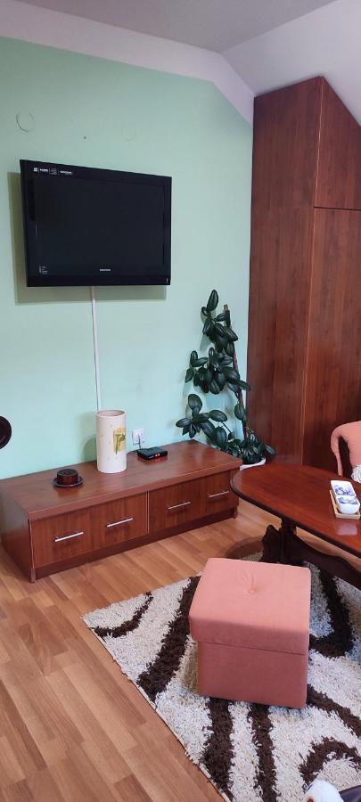 Apartman Sara Pale - Ski Centar Ravna Planina מראה חיצוני תמונה