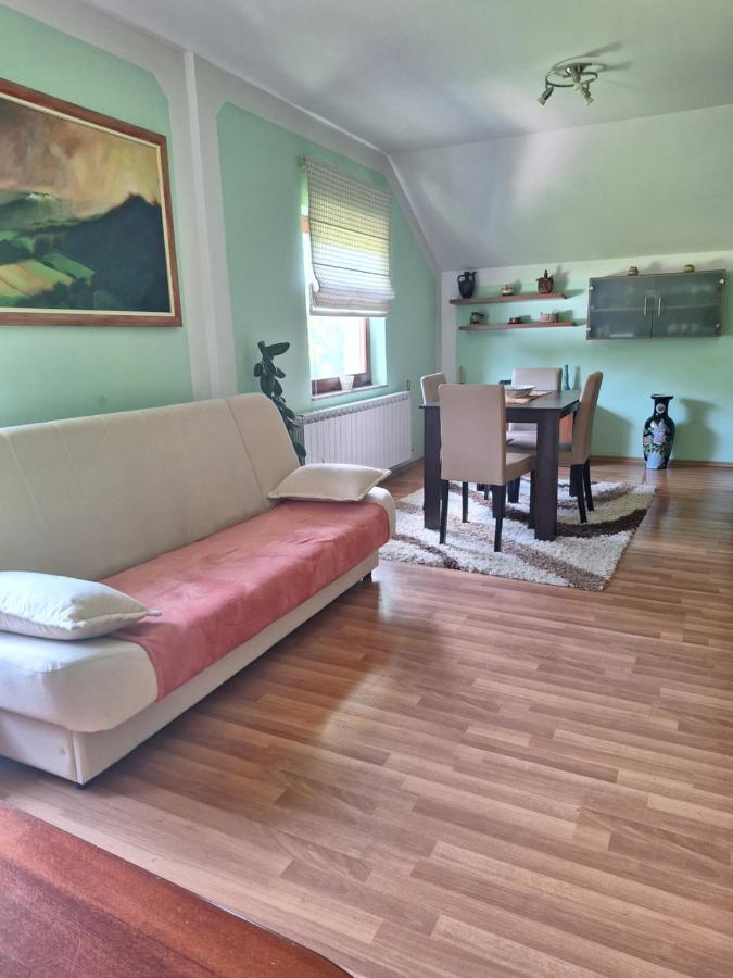 Apartman Sara Pale - Ski Centar Ravna Planina מראה חיצוני תמונה