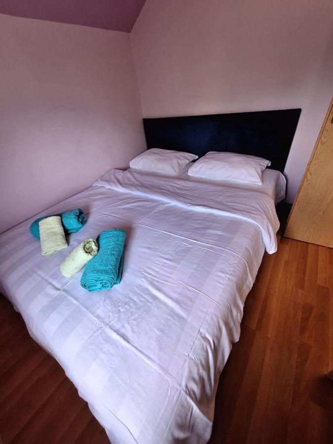 Apartman Sara Pale - Ski Centar Ravna Planina מראה חיצוני תמונה
