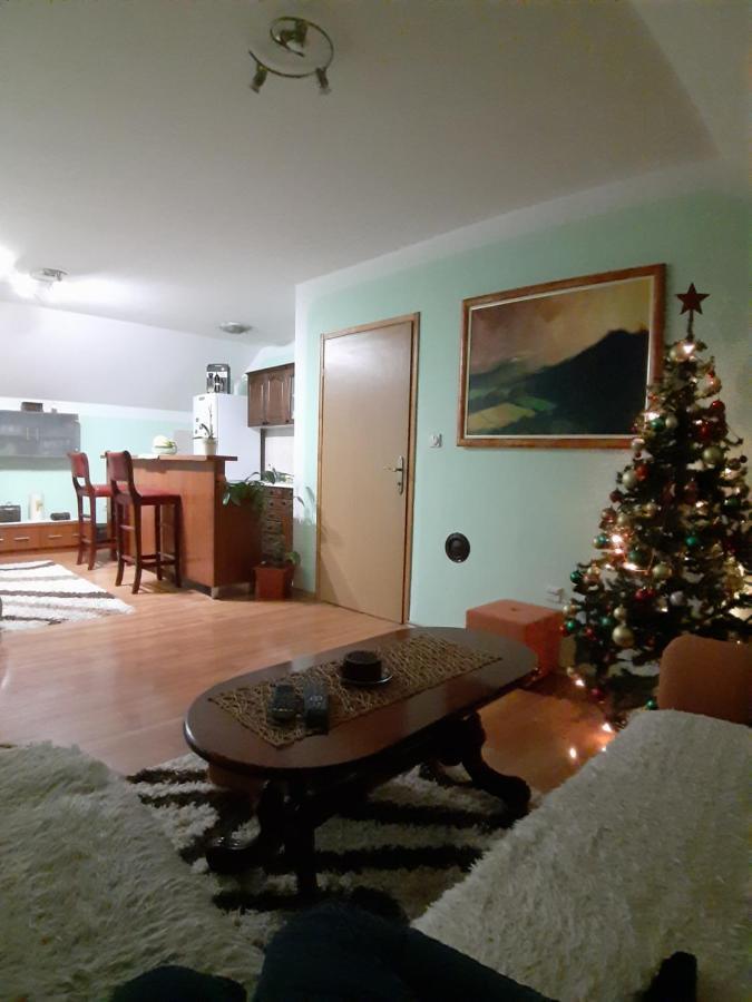 Apartman Sara Pale - Ski Centar Ravna Planina מראה חיצוני תמונה